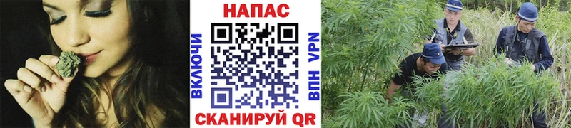 ГАШИШ Минеральные Воды