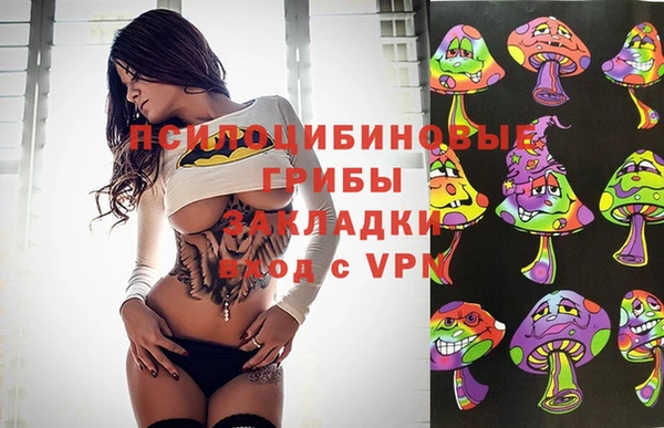 стафф Богородск