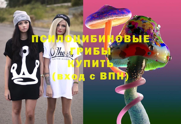стафф Богородск