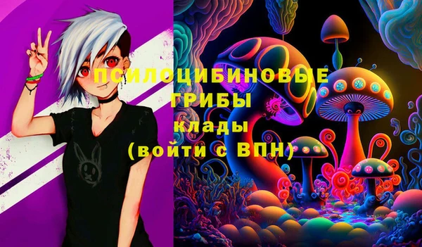 стафф Богородск