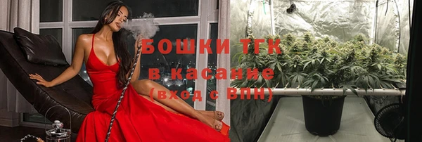 стафф Богородск
