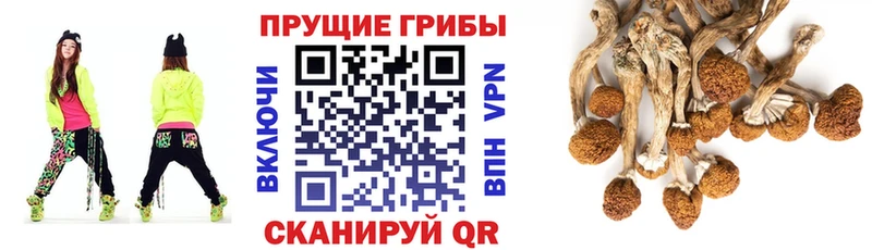 Галлюциногенные грибы мицелий  Минеральные Воды 